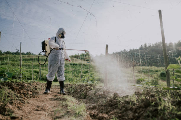 Best Best Pest Control Companies  in Kewaunee, WI