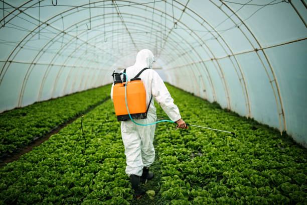 Best Pest Prevention Services  in Kewaunee, WI