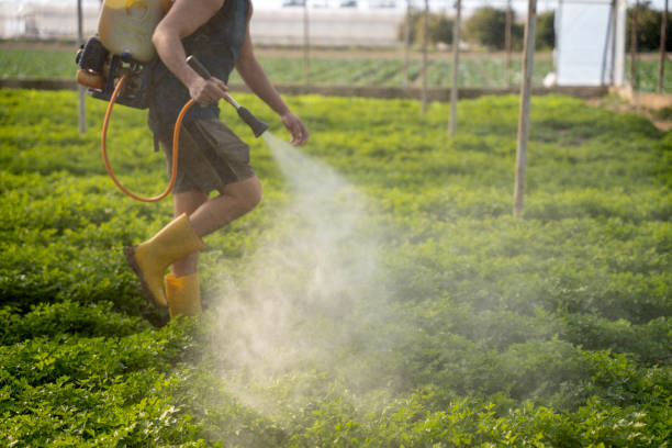 Kewaunee, WI Pest Control Company