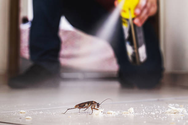 Best Best Pest Control Companies  in Kewaunee, WI